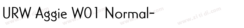 URW Aggie W01 Normal字体转换